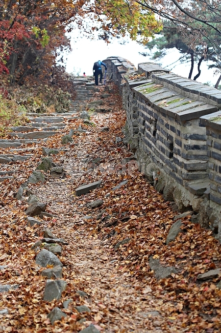 남한산성,성,성곽,단풍,낙엽,길,둘레길,숲,숲길,담,돌담,가을,자연,풍경,벽,울긋불긋,산성,식물,가을,계절,fall,autumn,season