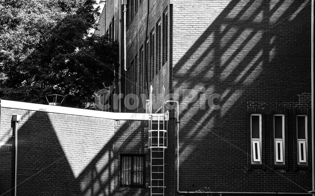 건물,그림자,창,창문,햇빛,흑백,모노톤,monochrome,black and white,건축물,건물외관,exterior,building,structure,architecture,construction