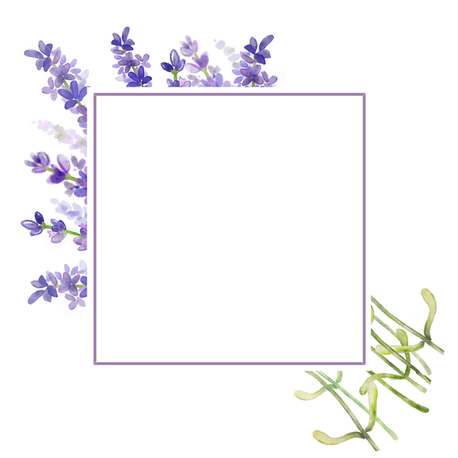 gift,cluster,delicate,Fresh,advanced,shopping mall,sign,discount,spring,drawing,visual,Freshness,vip,lavender,border,natural,edit,invitation,bouquet,Design editor,aromatherapy,background,Watercolor,poster,card,frame,strong,book,perfume,premium,marriage,de