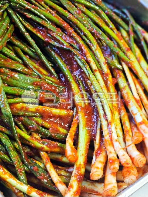 한국김치,파김치,김치,음식,채소,제철채소,식재료,식품,음식재료,파,쪽파,대파,파뿌리,food