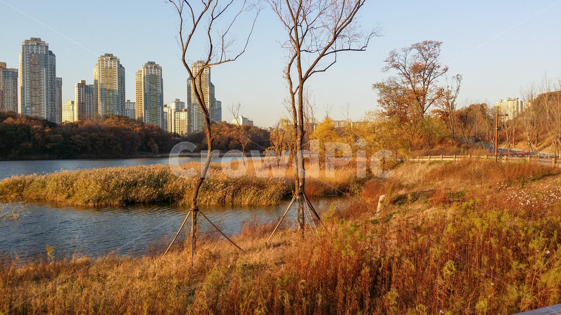 호수,lake,가을,단풍,자연,가을,계절,fall,autumn,season,grass,잔디,plant,식물,water,물,land,땅,outdoors,옥외,nature,lawn