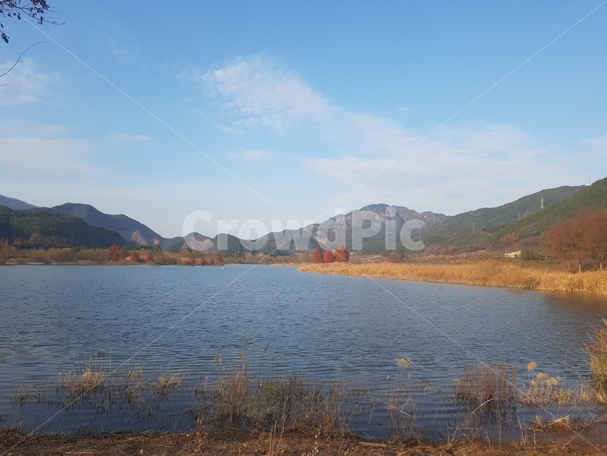 가을풍경,가을,단풍,하늘,갈대,가을,계절,fall,autumn,season,자연,풍경,nature,landscape,water,물,outdoors,옥외