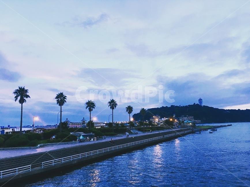 풍경,바다,나무,섬,일본,에노시마,japan,island,oversea,landscape