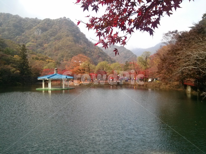 내장산,가을,정자,고즈넉함,평화,국립공원,자연,옥외,mountain,fall,autumn,peace,calm,pavilion,gazebo,summerhouse,water,nature,outdoors,quietness