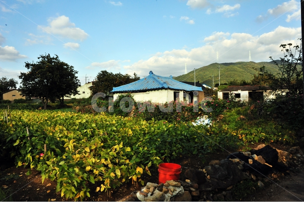 시골,여행,행복,빈집,가을,시골,마을,풍경,landscape,country,rural,town