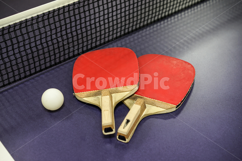 탁구,탁구대,스포츠,탁구라켓,탁구공,tabletennis,스포츠,레저,운동,sports,leisure,exercise,사물,물건,오브젝트,thing,object,matter