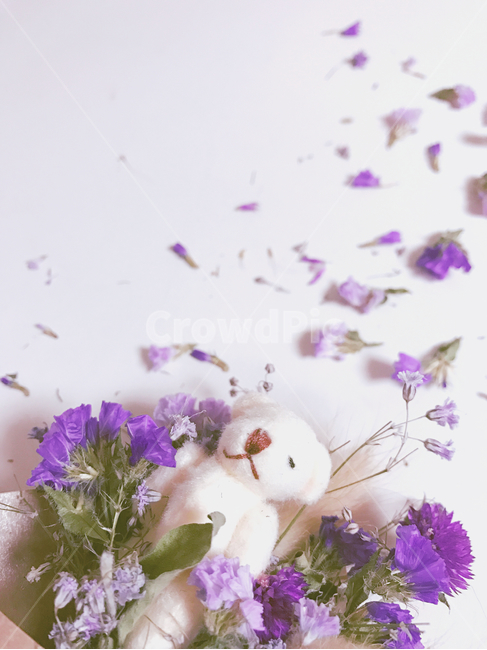 곰돌이,인형,꽃,보라,큐트,식물,자연,plants,nature,꽃,flower,기념일,축하,anniversary,congratulation,celebrate,celebration,감성,sensible,feeling