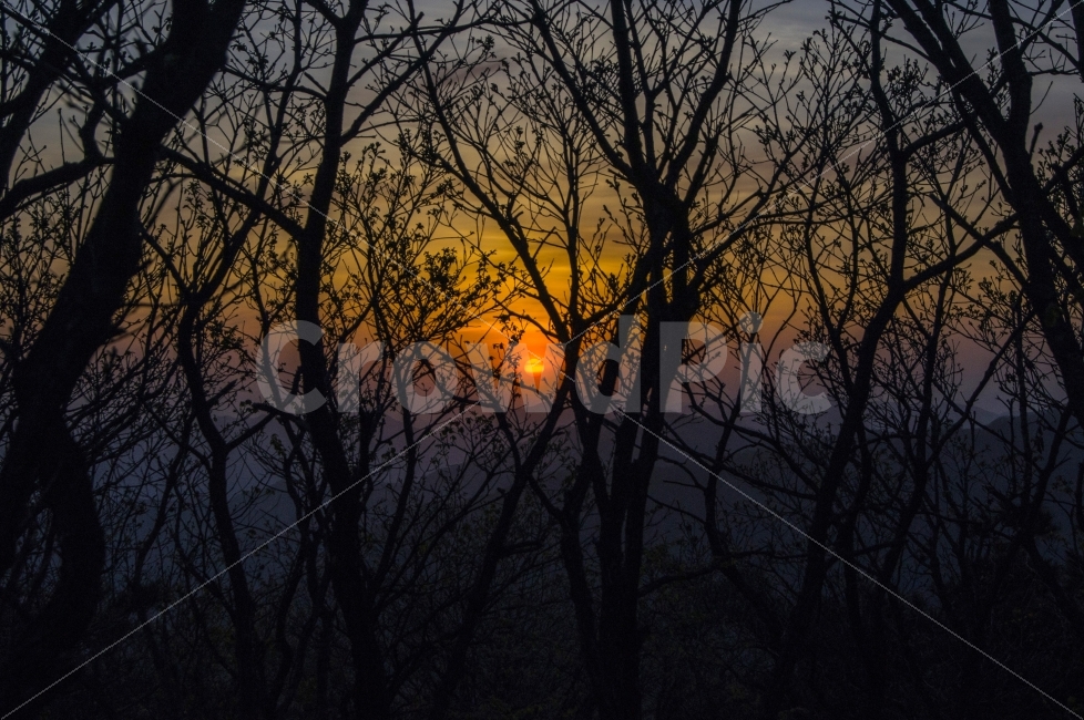 횡성,태기산,노을,저녁,일몰,풍경,자연,풍경,nature,landscape,outdoors,옥외,sky,하늘,dusk,황혼,sunset,red sky,붉은 하늘,dawn,새벽