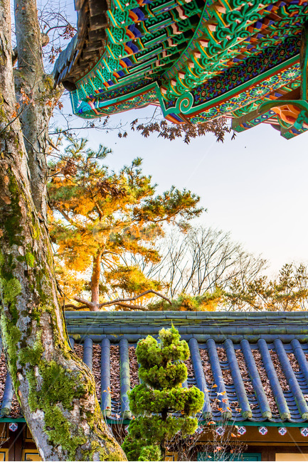 단청,사찰,종각,기와,단풍,낙엽,처마,한국전통,한국문화,korean traditional,korean culture,건축물,건물외관,exterior,building,structure,architecture,construction