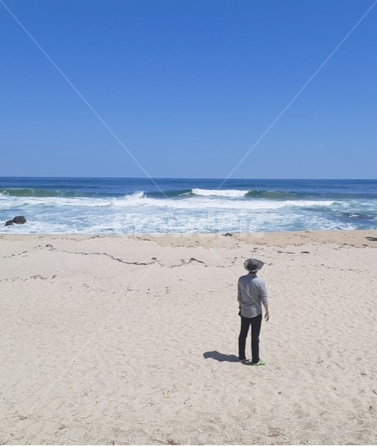 남자,바다,강릉,파도,모래,뒷모습,적막