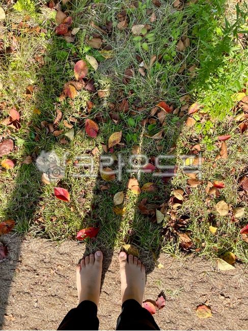 work out,fallen leaves,person,barefoot,soil,bare foot,autumn,walking barefoot