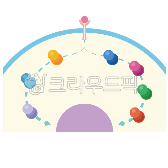 Signal transduction pathway,signaling molecule,receptor,epidermal growth factor,egf,epidermal growth factor receptor,egfr,nucleus,pharmaceutical,medicine,anticancer agent,cancer cell,anticancer