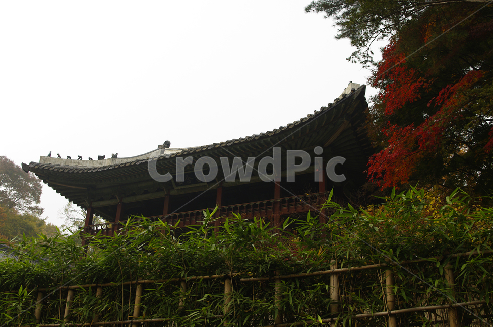 창덕궁후원,주합루,고궁,건축,전통건축,traditional,전통,단청,기와지붕,가을,계절,fall,autumn,season,한국전통,한국문화,korean traditional,korean culture,건축물,건물외관,exterior,building,structure,architecture,construction