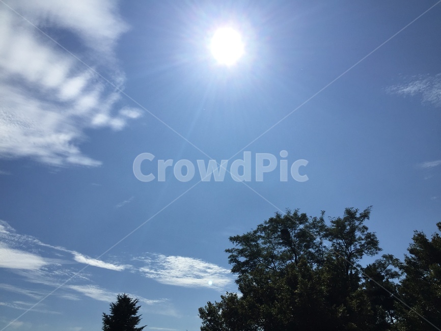 sunlight,빛,nature,햇빛,자연,flare,outdoors,플레어,옥외,light,하늘,자연,풍경,nature,landscape