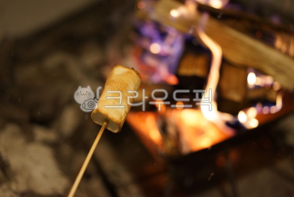 camping,marshmallow,fire,camping cooking,campfire,Camping