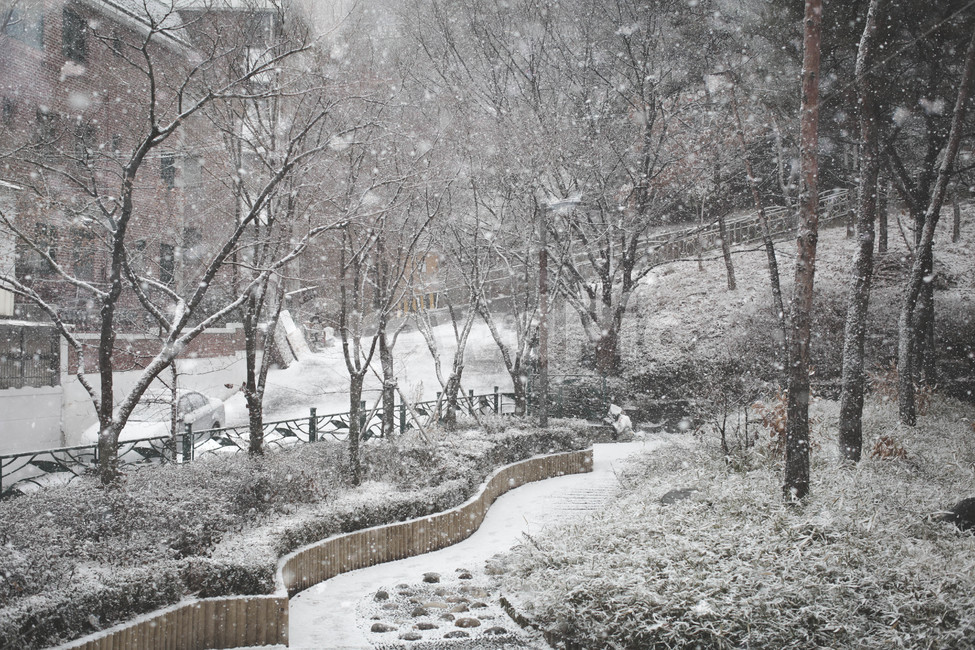 눈,공원,겨울,snow,winter,겨울,계절,winter,season