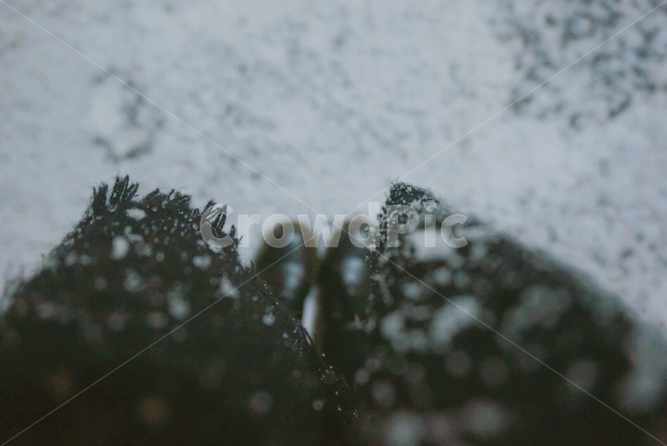 눈,흰눈,눈꽃,겨울,감성,신발,목도리,snow,winter,감성사진,season,겨울,계절,winter,season,감성,sensible,feeling