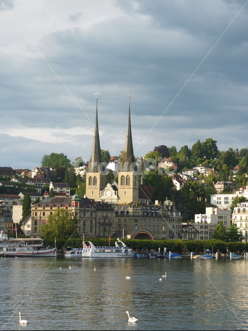 스위스,세계,호수,오리,다리,언덕,분위기있는,영화,루체른,lucerne,swiss