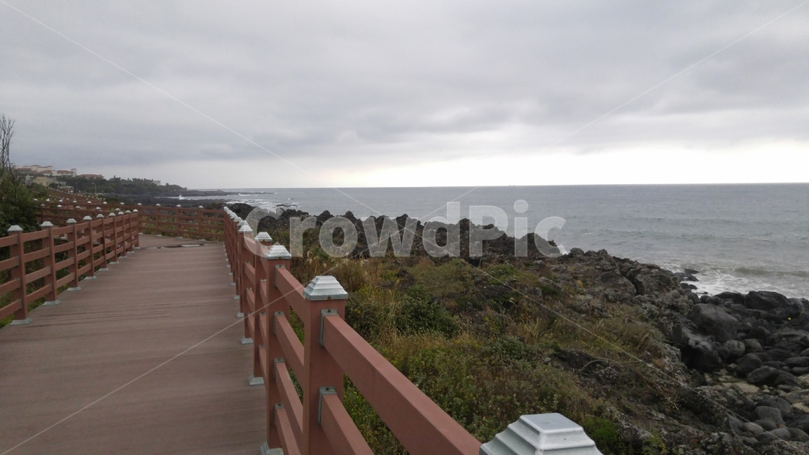 handrail,banister,난간,railing,제주,제주도,해안,바다,바닷가,파도,풀,풀숲,grass,plant,잔디,식물,자연,풍경,nature,landscape