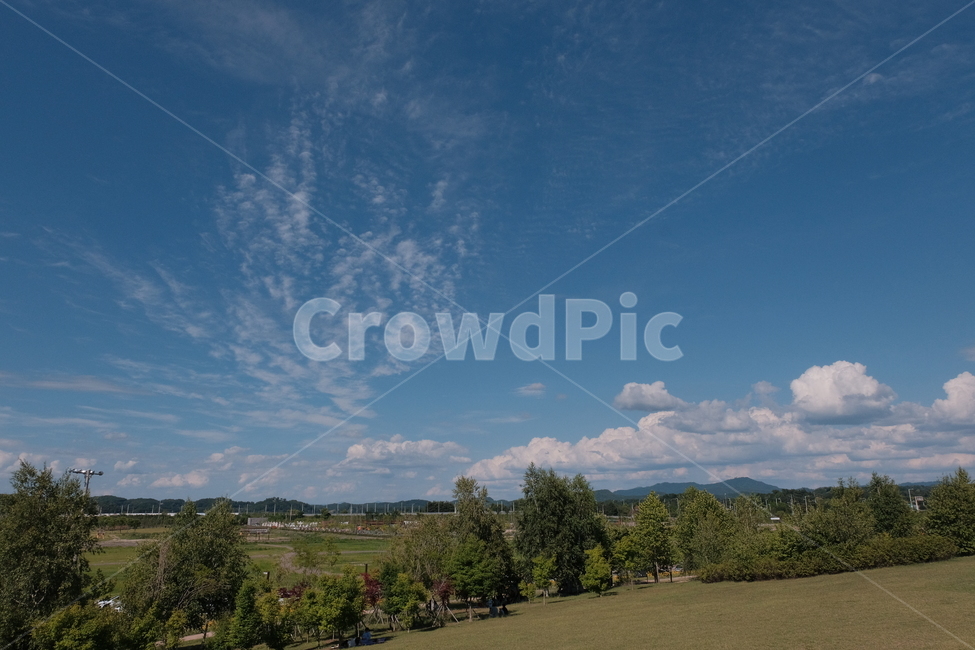 하늘,구름,언덕,나무,경치,맑은,파란,sky,clouds,hill,field,tree,landscape,freshness,blue