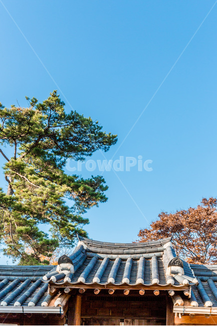 문화유산,전통가옥,소나무,기와,선,문양,무늬,한국전통,한국문화,korean traditional,korean culture,건축물,건물외관,exterior,building,structure,architecture,construction