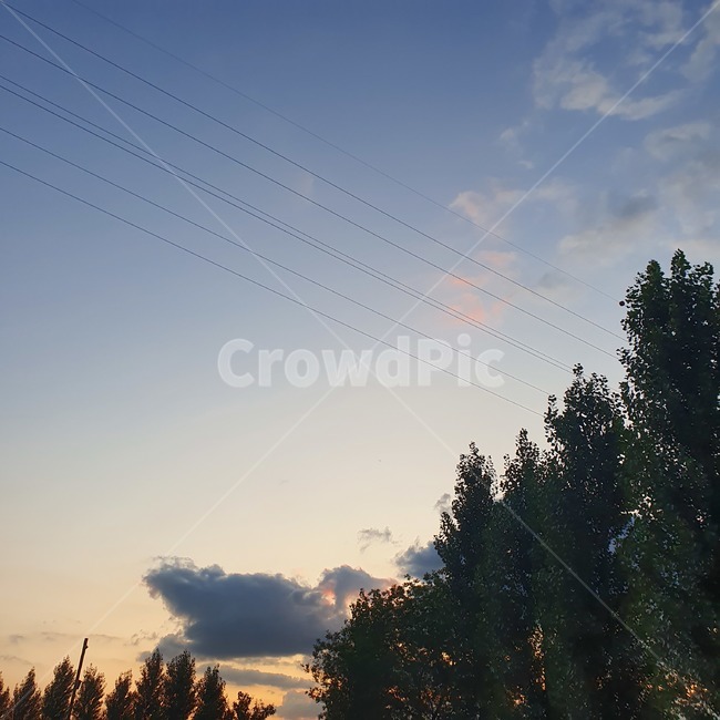 나무,tree,하늘,sky,구름,sunset,식물,plant,clouds