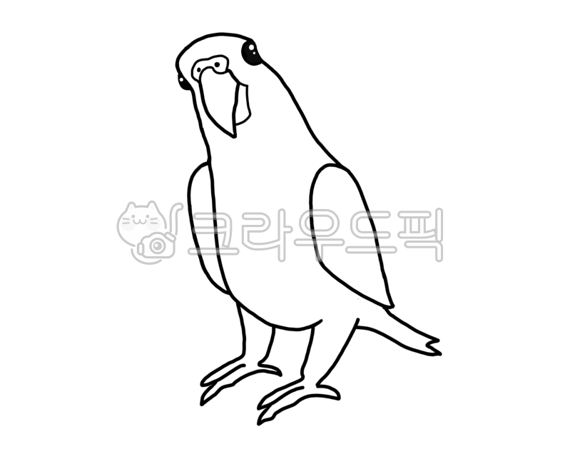 아마존앵무새,선,앵무새,색칠,색칠공부,새,아마존,청모자아마존,황모자아마존,네잎아마존,어린이집,따라그리기,배경,누끼,미술,미술시간,미술그리기,앵무새그리기,새그리기,라인,검은선,그리기,색칠하기,미술자료,아트,미술아트,앵무새아트,귀여움,키우기