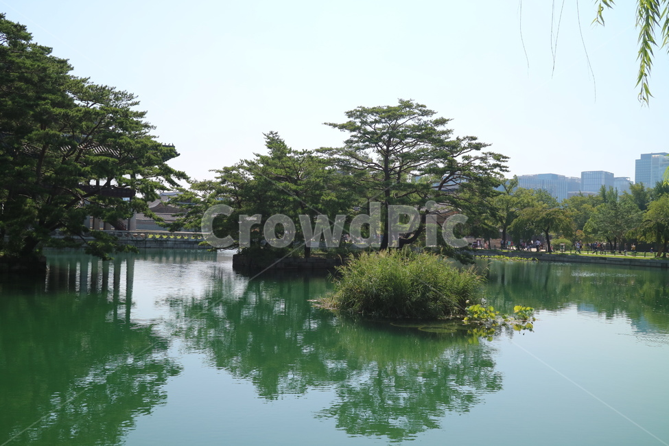 궁전,고궁,한국전통,한국,건축,건물,동양건축,전통가옥,한옥,전통,민속,문화재,연못,나무,정원,자연,풍경,nature,landscape,한국전통,한국문화,korean traditional,korean culture,water,물,outdoors,옥외,land,땅
