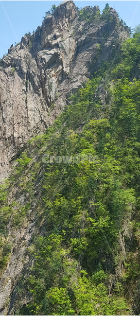자연,낭떠러지,산,나무,전원,nature,cliff,mountain,tree,outdoors