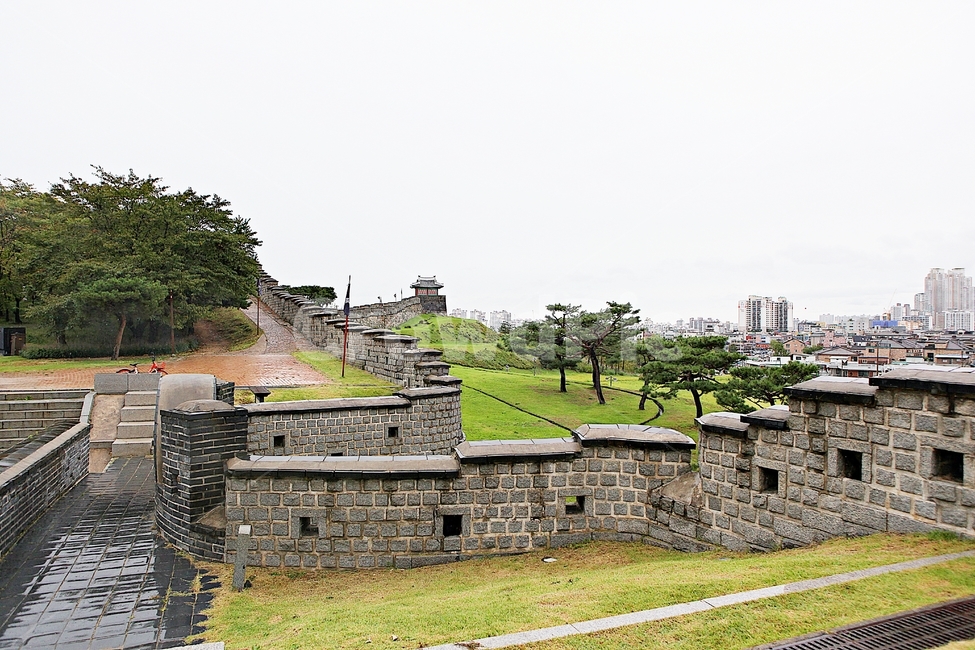 수원화성,성,성곽,길,둘레길,돌담,담,가을,자연,풍경,벽,방어벽,흙담,식물,전통,한국전통,한국문화,korean traditional,korean culture