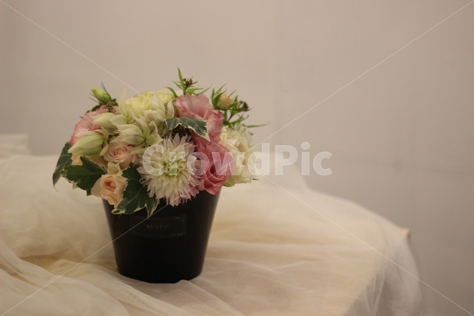 꽃,화분,꽃꽂이,flower,plant