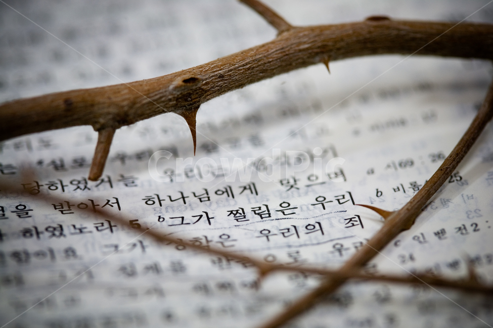 text,본문,성경,사순절,예수,죽음,성금요일,고난,jesus,고난주간,종려주일,십자가