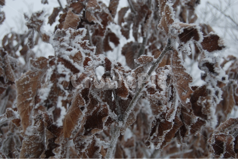 등산,계방산,힐링,자연,겨울,겨울산행,감성,풍경,계절,겨울이미지,겨울,계절,winter,season