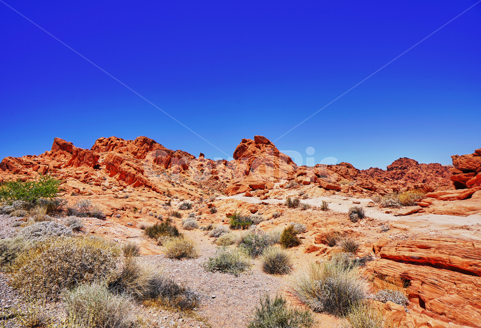 불의계곡,valleyoffire,건조한,dry,풍경,파란하늘,red,sandstone,자연,풍경,nature,landscape,해외,외국,세계,foreign,oversea,world,세계자연풍경,해외자연풍경,외국자연풍경,world nature landscape,outdoors,옥외,desert,사막,soil,흙