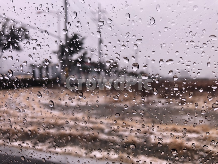 비,rainy,창문,비오는날,날씨