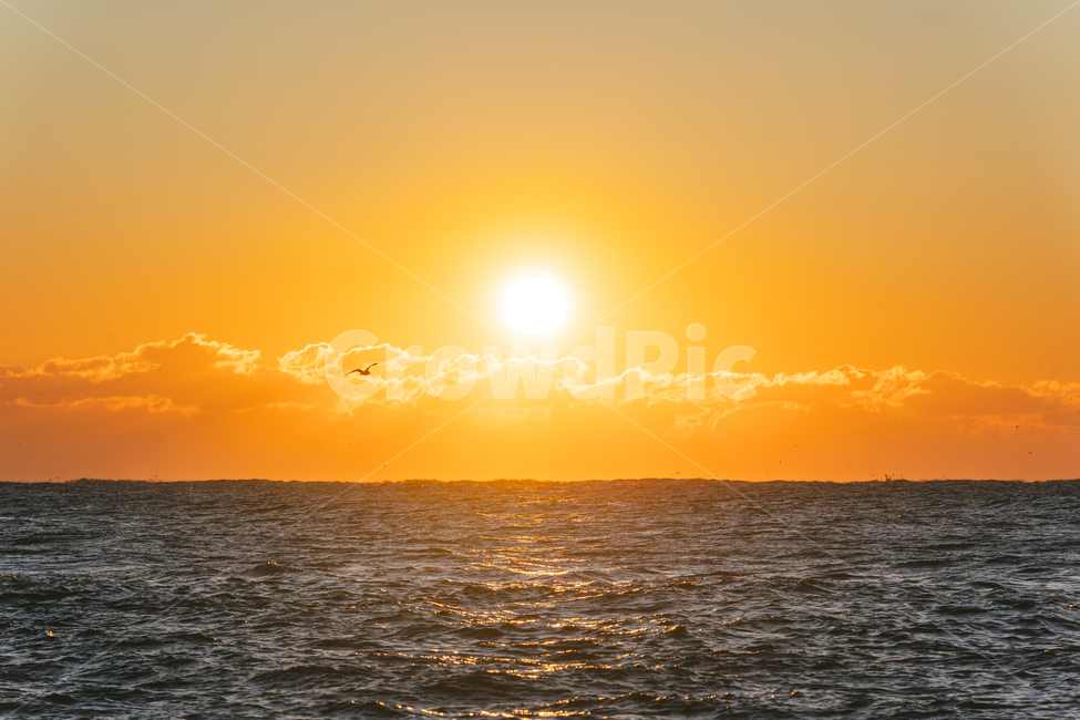 동해,동해바다,바다,sea,일출,sunrise,아침,새해,속초,햇빛,sunlight,자연,풍경,nature,landscape