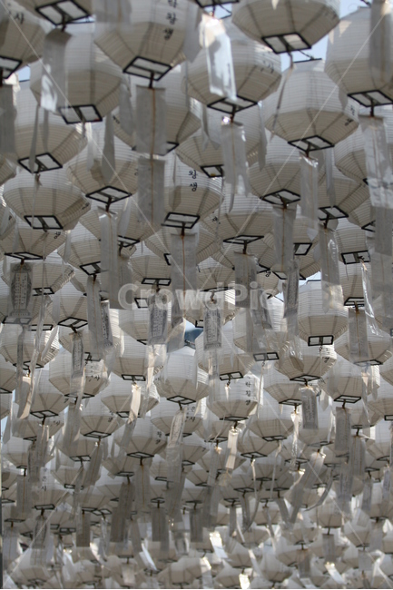 절,사찰,풍경,한국,연등,한국전통,한국문화,korean traditional,korean culture,종교,신앙,religion,belief,faith,축제,행사,festival,carnival,event,기념일,축하,anniversary,congratulation,celebrate,celebration