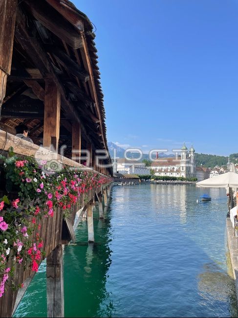 경치,경관,야외,자연,풍경,물,하늘,푸른,맑은,강,다리,해외,외국