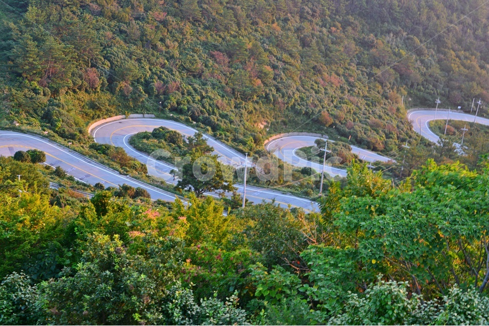 흑산도길,구불구불,길,꼬부랑길,신안,흑산도,scenery,풍경,outdoors,옥외,nature,자연,landscape,경치
