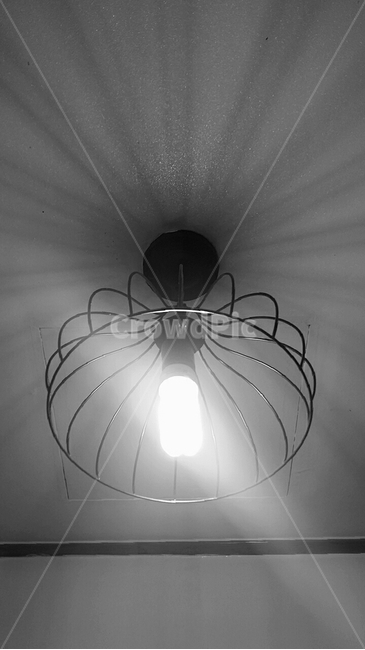 조명,전구,백열등,천장,인테리어,흑백,명암,흑백,모노톤,monochrome,black and white,인테리어,실내디자인,interior design