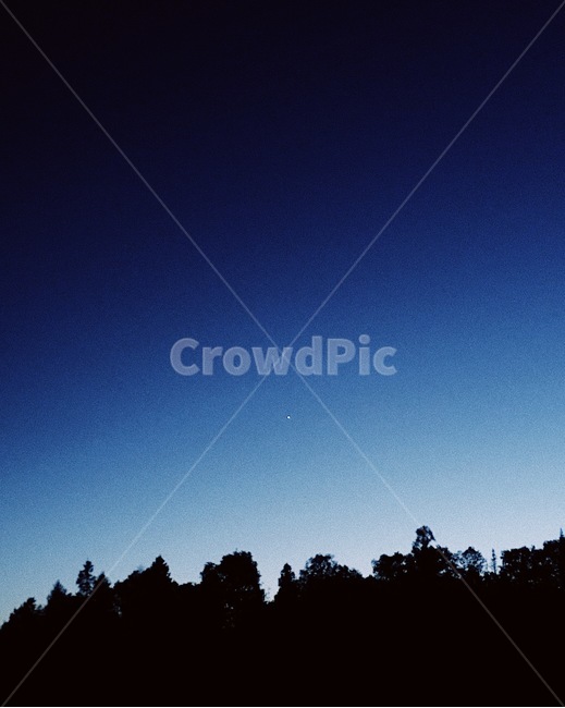 nature,자연,outdoors,옥외,밤,night,sky,forest,하늘,숲,별,star,저녁,midnight,evening