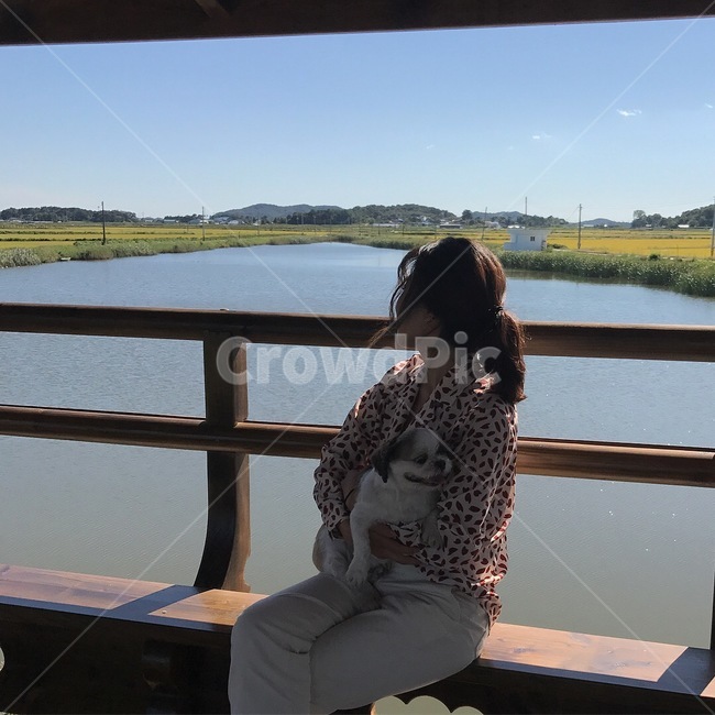 강아지,인물,호수,시골,하늘,강,뒷모습,시츄,시추,멍멍이,사람,산,논,밭,동물,풍경,개,푸른하늘,파란하늘,논밭