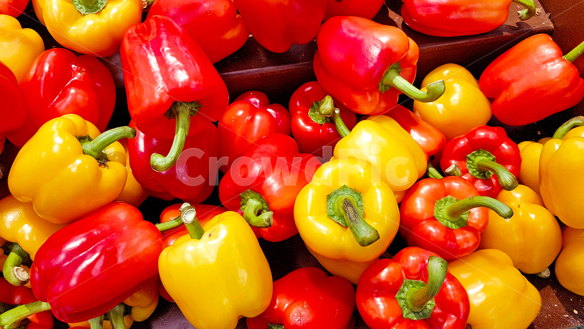 채소,야채,신선,파프리카,fresh,프래쉬,프레쉬,먹거리,음식,피망,신선함,빨간색,노란색,음식,식재료,요리,food,cook,meal,dishes,food reserves,채소,야채,vegetables