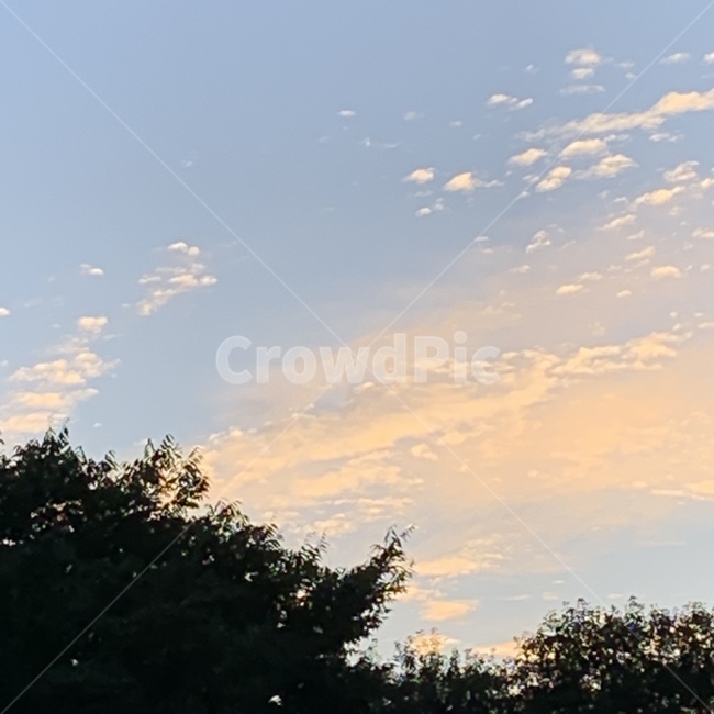 nature,자연,outdoors,옥외,주황색,하늘,구름,감성사진,자연,풍경,nature,landscape
