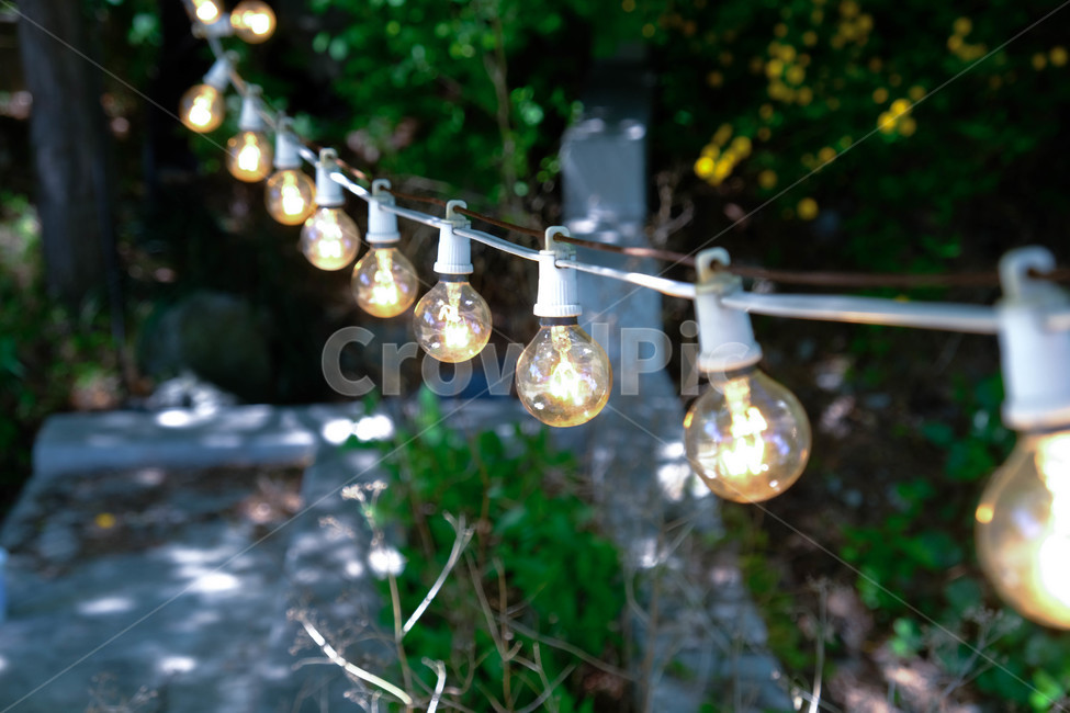 light,빛,전구,캠핑장,bulb,tree