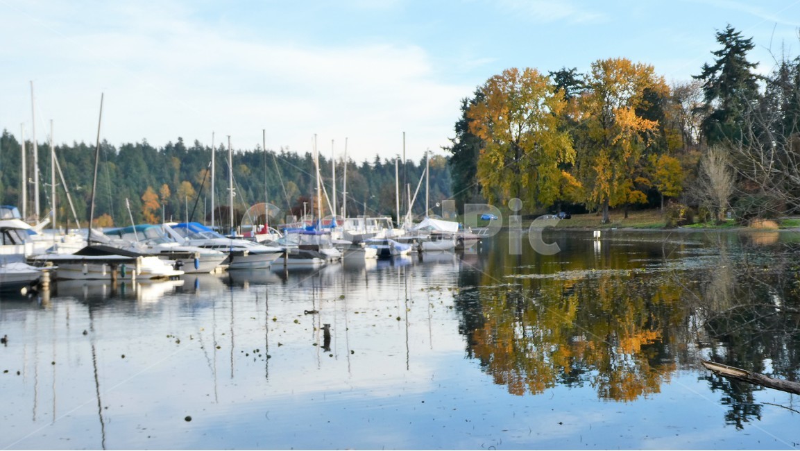 호수,배,보트,자연,lake,lakeshore,boat,boatparking,reflection,자연,풍경,nature,landscape,water,물,marina,마리나,waterfront,워터 프론트