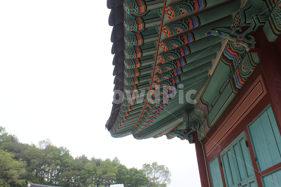 전통,한옥,단청,기와집,전통가옥