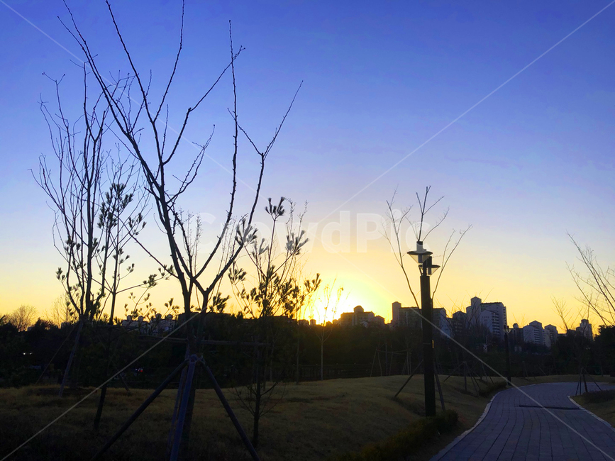 노을,sunset,하늘,sky,실루엣,감성,색감,색깔,나무,퇴근길,emotion,color,tree,nature,자연,outdoors,옥외