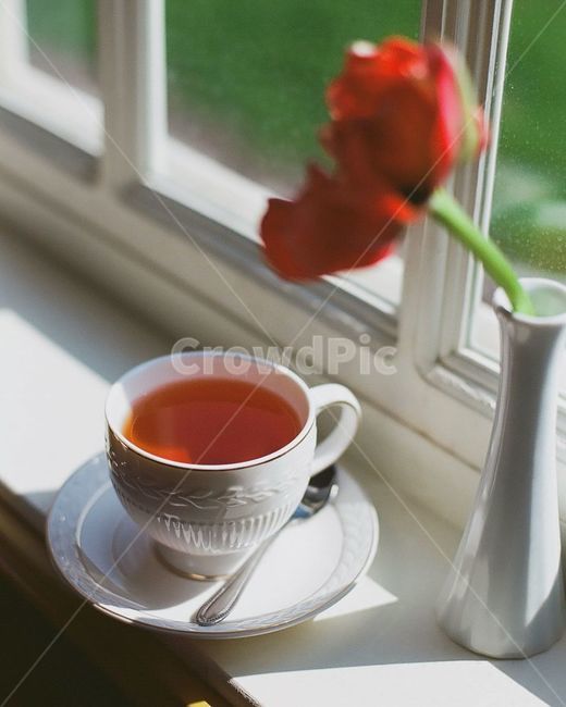 차,찻잔,꽃,빛,카페,pottery,도기류,saucer,받침접시,커피,카페,coffee,cafe