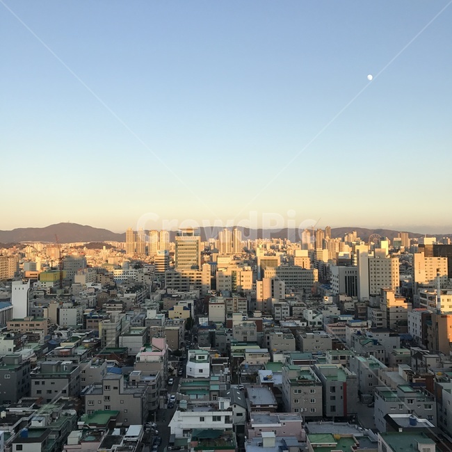 도시,건물들,건물,빌딩,전망